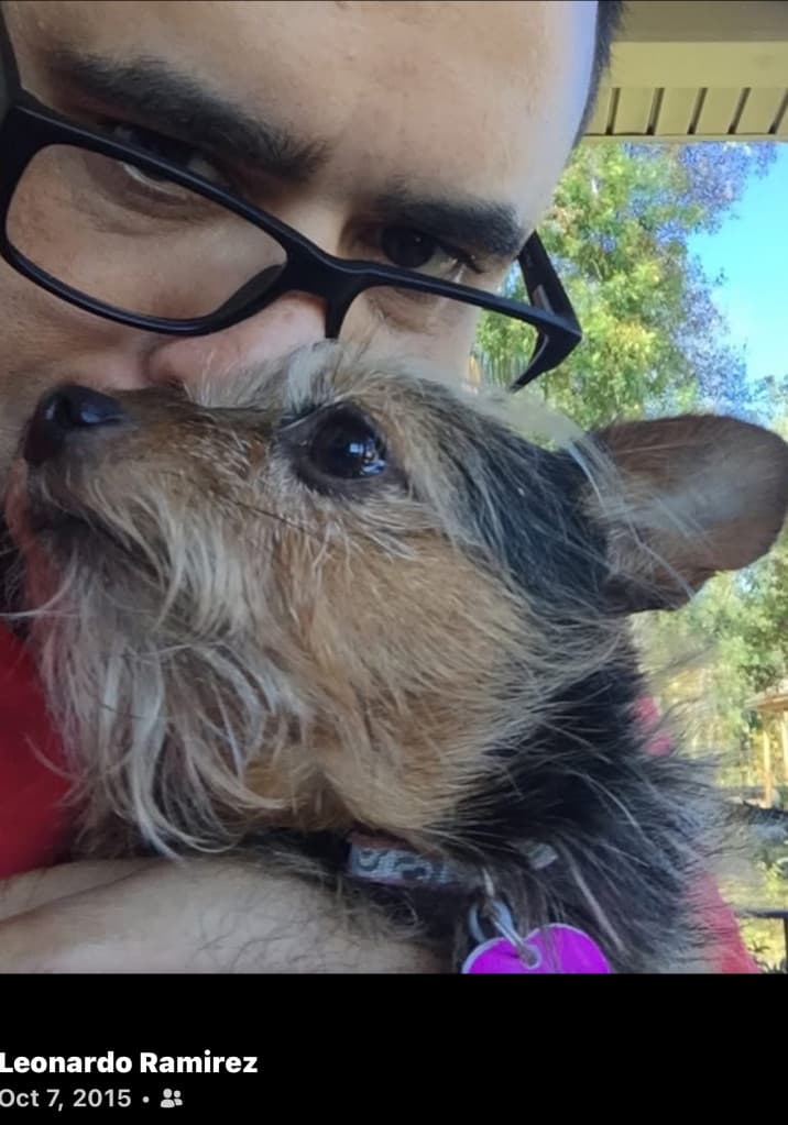 My Stage 32 Story Persistence Healing  Creative Breakthroughs in Year 3