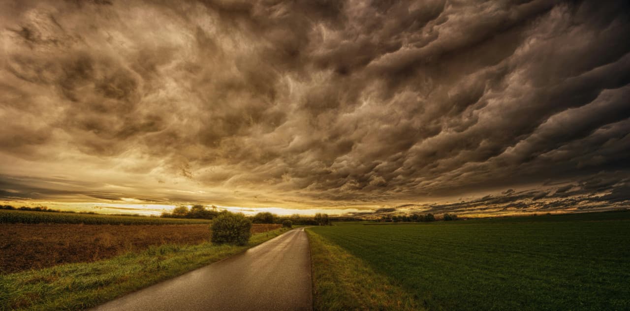 To Have Or Not To Have Production Insurance