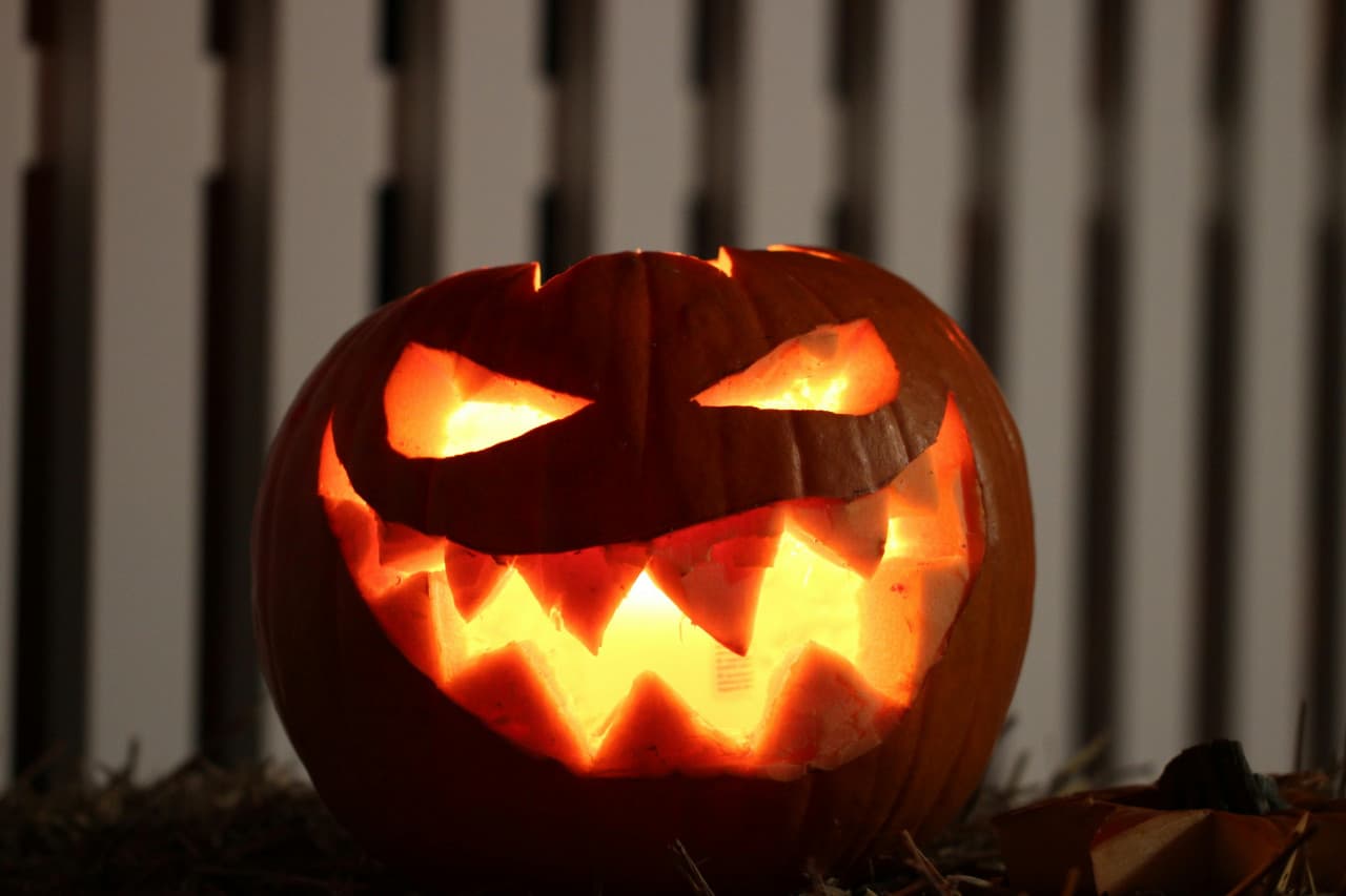 My 10 Favorite Horror Movies  What They Taught Me About Screenwriting