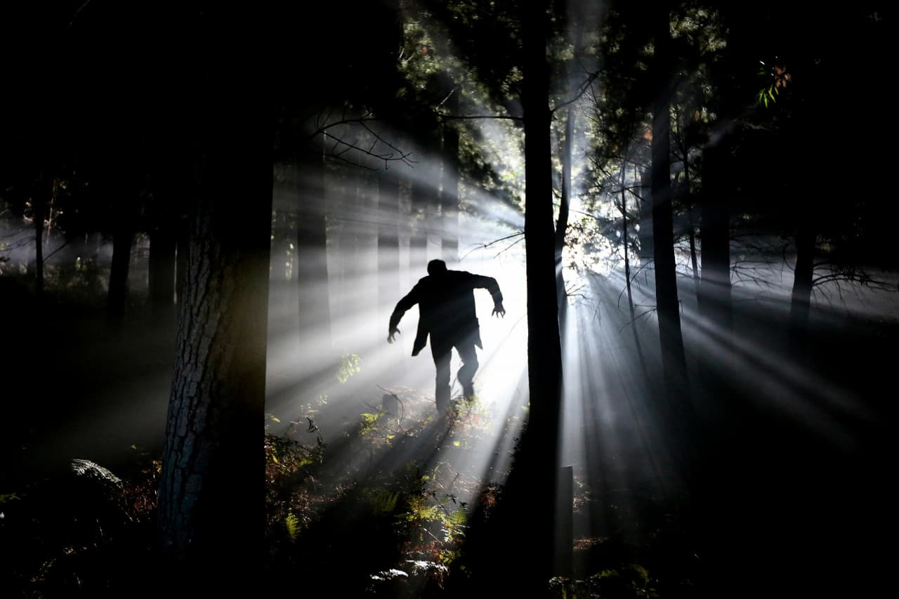 My 10 Favorite Horror Movies  What They Taught Me About Screenwriting
