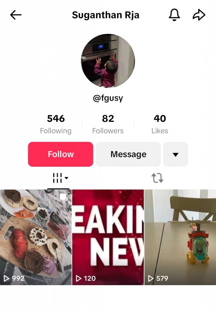 Navigating the Fakes Snakes and Alligators in the Digital Landscape