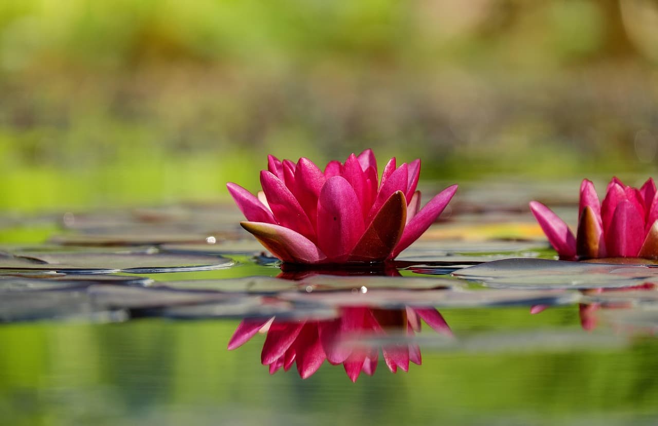 Creative Strength Starts with This One Inner Practice