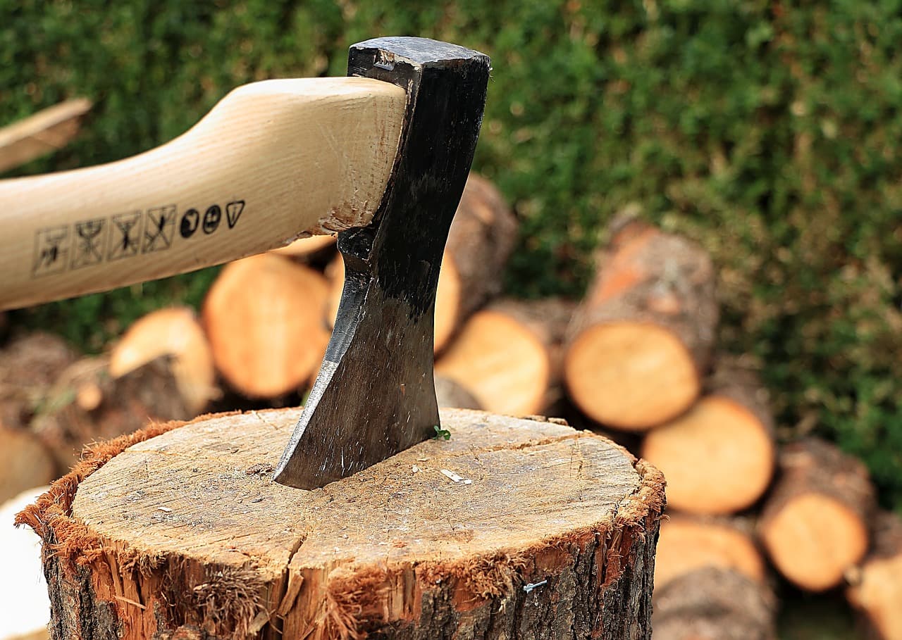 How Harnessing Energy Feeding Horses  Chopping Wood Prepped Me For Hollywood