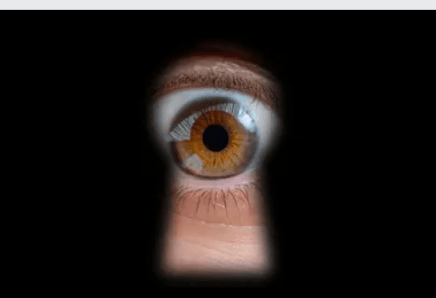 The Power of FactChecking Making the Right Choices for Your Career  Project