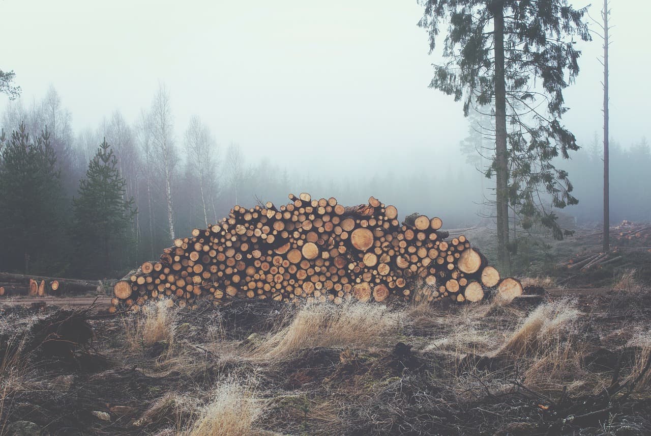 How Harnessing Energy Feeding Horses  Chopping Wood Prepped Me For Hollywood