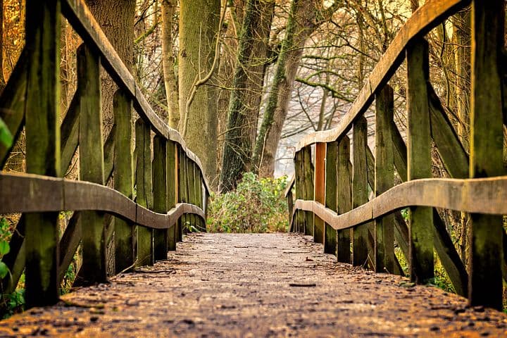 How Do I Shorten My Path as a Writer and Actor by Richard Botto  Jason Mirch