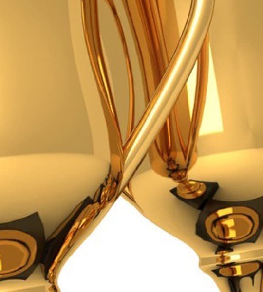 The Next Voices in Television