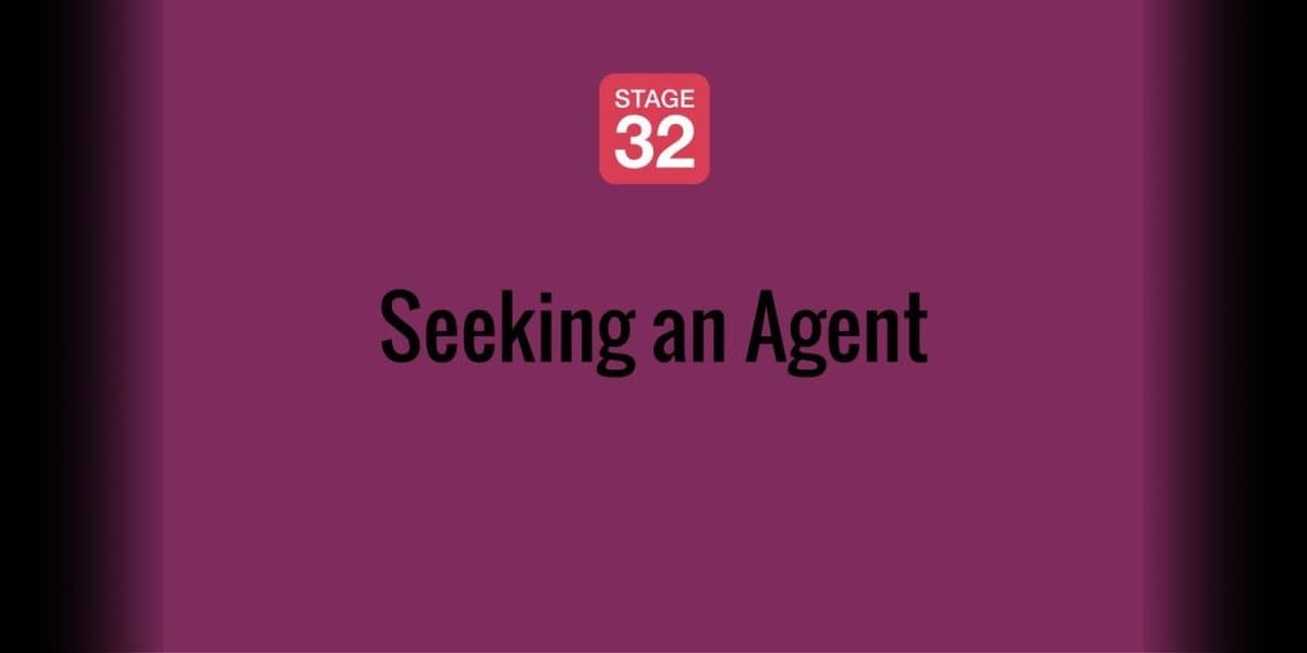 Seeking an Agent