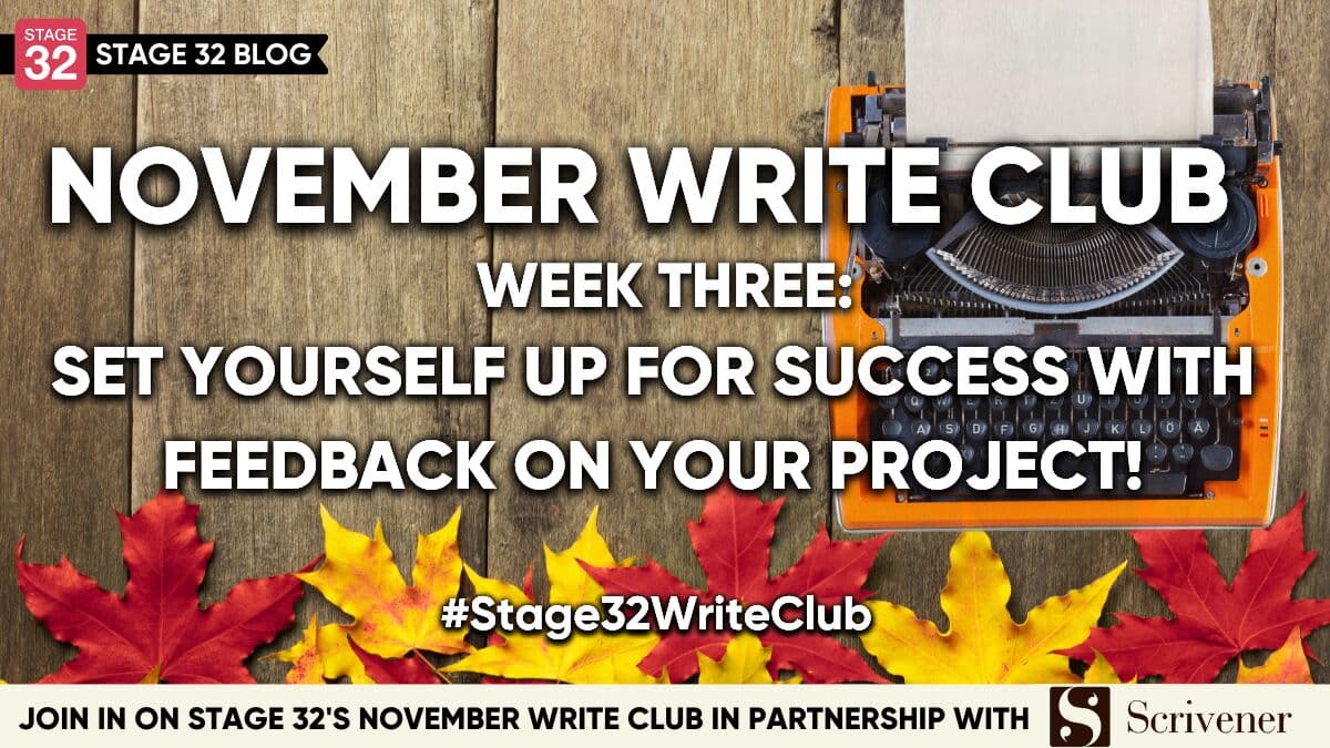 November Write Club Week #3: Set Yourself Up For Success With Feedback On Your Project!